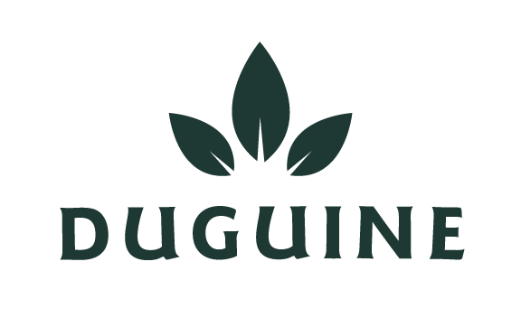 Logotype Duguine - Transport Duguine