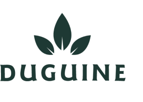Logotype duguine - Transport Duguine
